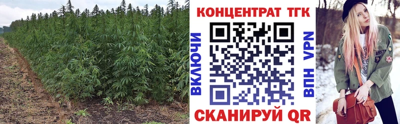 Купить где  Ковров  ТГК Wax 