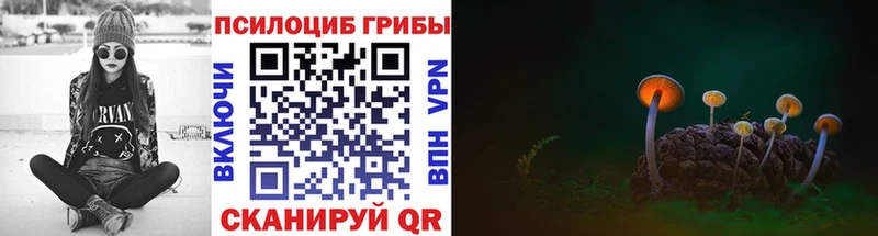 Купить закладки  Ковров  Псилоцибиновые грибы прущие грибы 